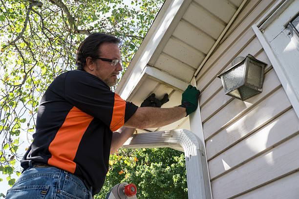 Professional Siding Installation & Repair in Shelton, WA